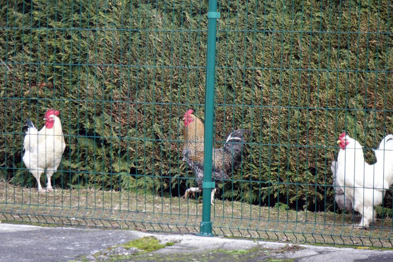 La Crova Villa Felines Exterior photo